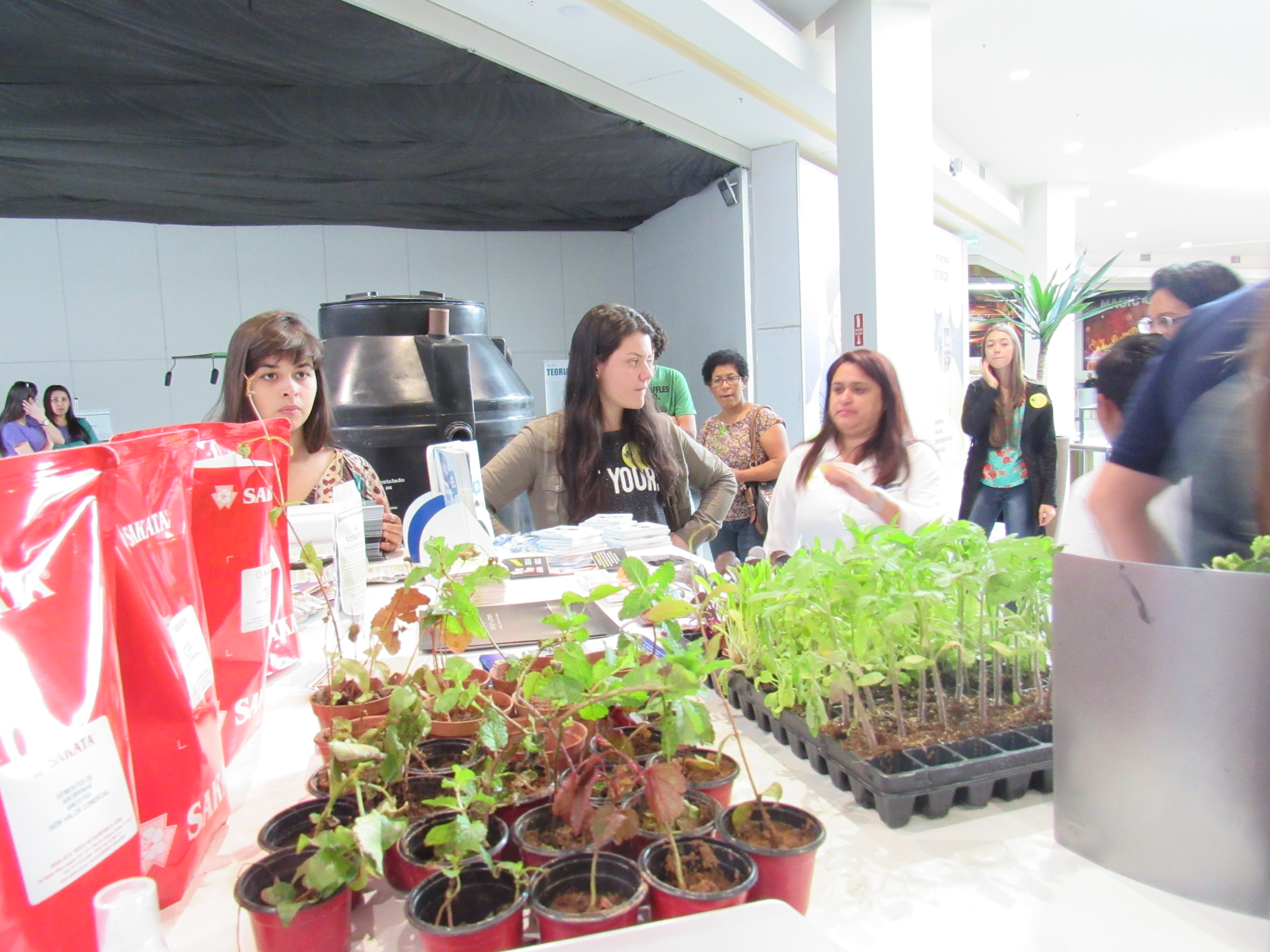 Alunos da USF realizam atividades no Bragança Garden Shopping em celebração ao Dia Mundial do Meio Ambiente