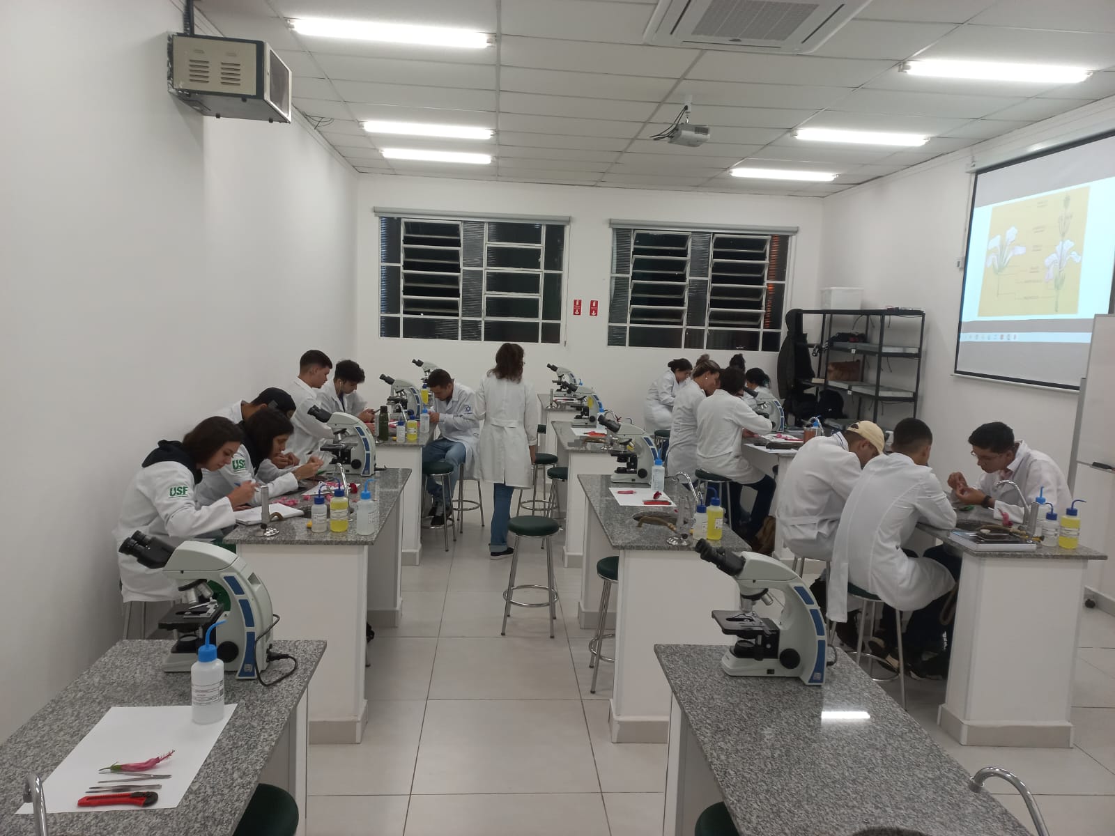 Estudantes do Curso de Engenharia Agronômica realizam atividades no Laboratório de Análises Agronômicas