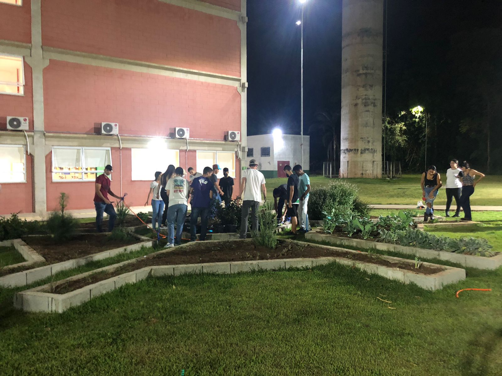 Estudantes de Engenharia Agronômica realizam primeira colheita em projeto fazenda urbana