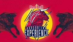Resultado do sorteio USF e Red Bull Bragantino Experience