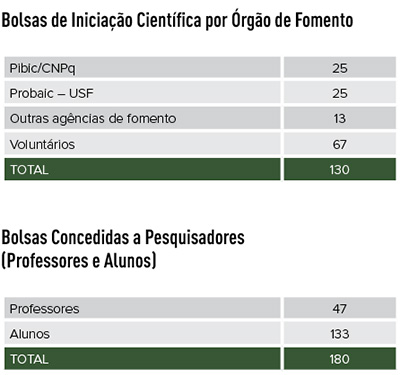 Pesquisa e Iniciação Científica